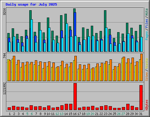Daily usage for July 2025