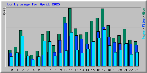 Hourly usage for April 2025