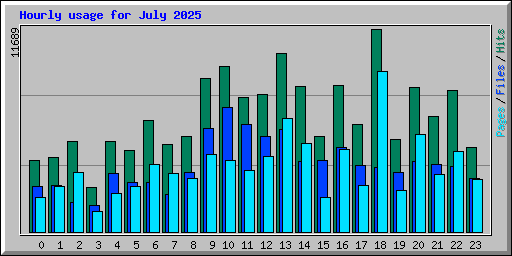 Hourly usage for July 2025