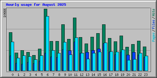 Hourly usage for August 2025