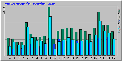 Hourly usage for December 2025