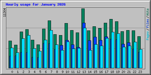 Hourly usage for January 2026